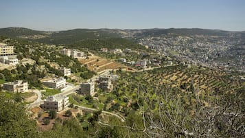 A hillside town with buildings, roads, and greenery.