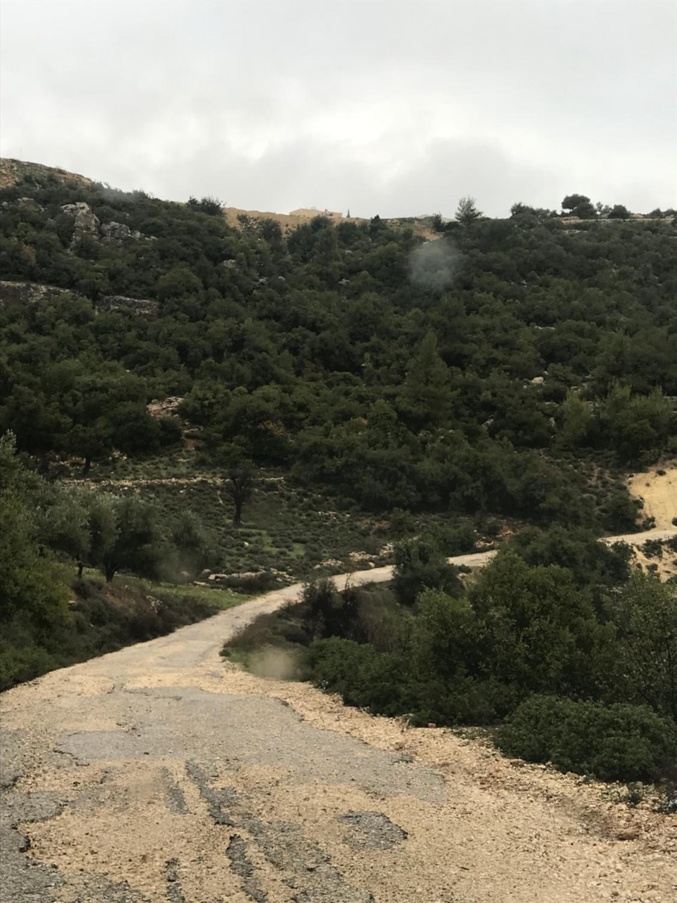 A dirt path winding through a hilly area with dense greenery and sparse trees.