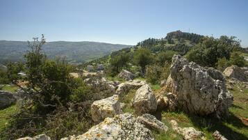 A rocky landscape with a hill in the background.