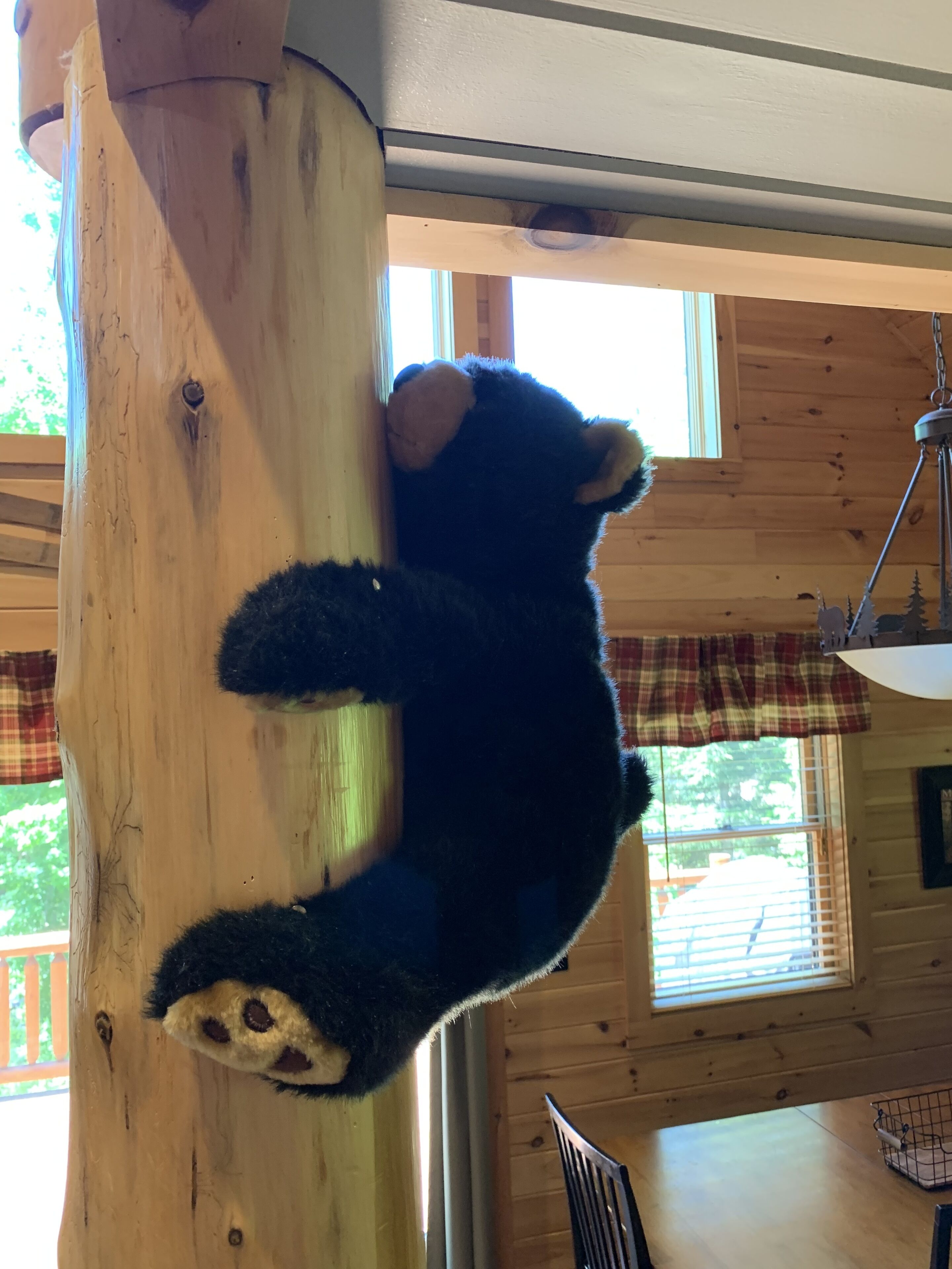Un ours en peluche suspendu à une poutre en bois dans une cabane dotée de fenêtres et d’un rideau à carreaux.