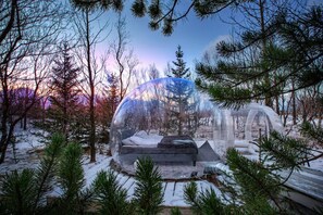 Uma estrutura transparente semelhante a uma iglú, com uma cama no interior, rodeada por neve e árvores.