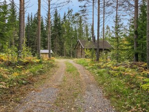 A gravel path leading to a wooden cabin surrounded by tall trees.