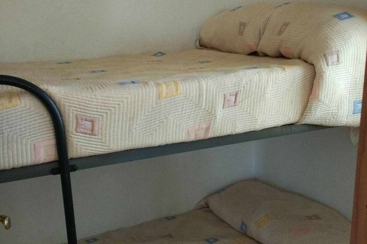 A bunk bed with patterned bedding and a metal ladder.