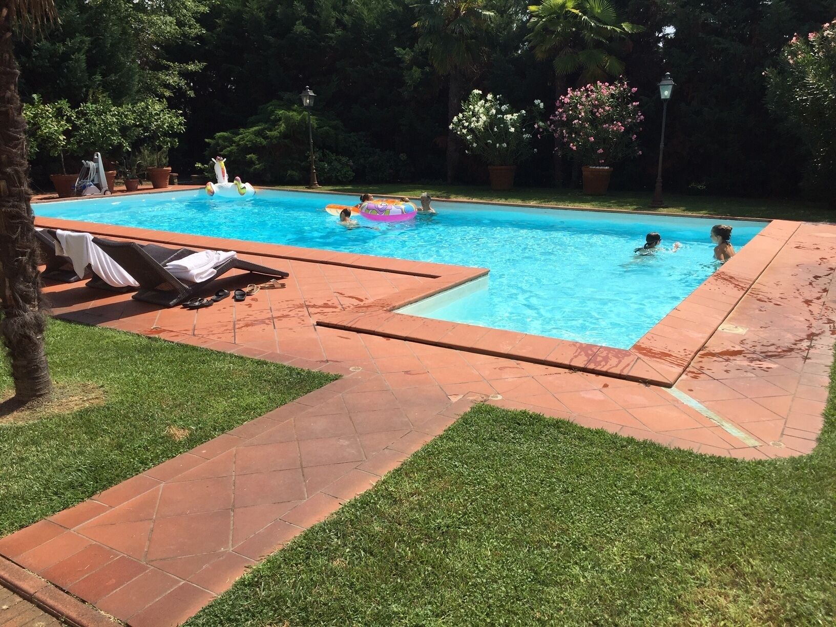 Une piscine dont les bords sont recouverts de carreaux, entourée d’une pelouse et agrémentée de plantes en pot.
