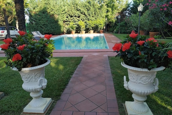 Seasonal outdoor pool, pool loungers