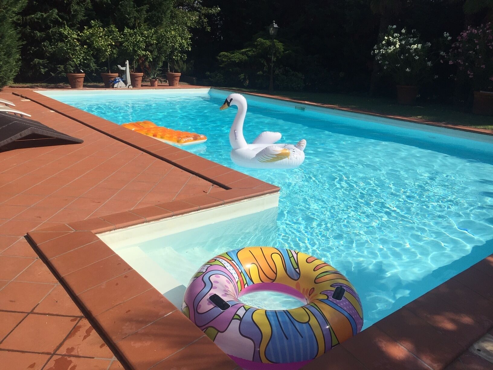 Une piscine avec un flotteur en forme de cygne et un grand cercle gonflable aux couleurs vives.
