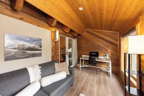 TV, fireplace, DVD player, video library