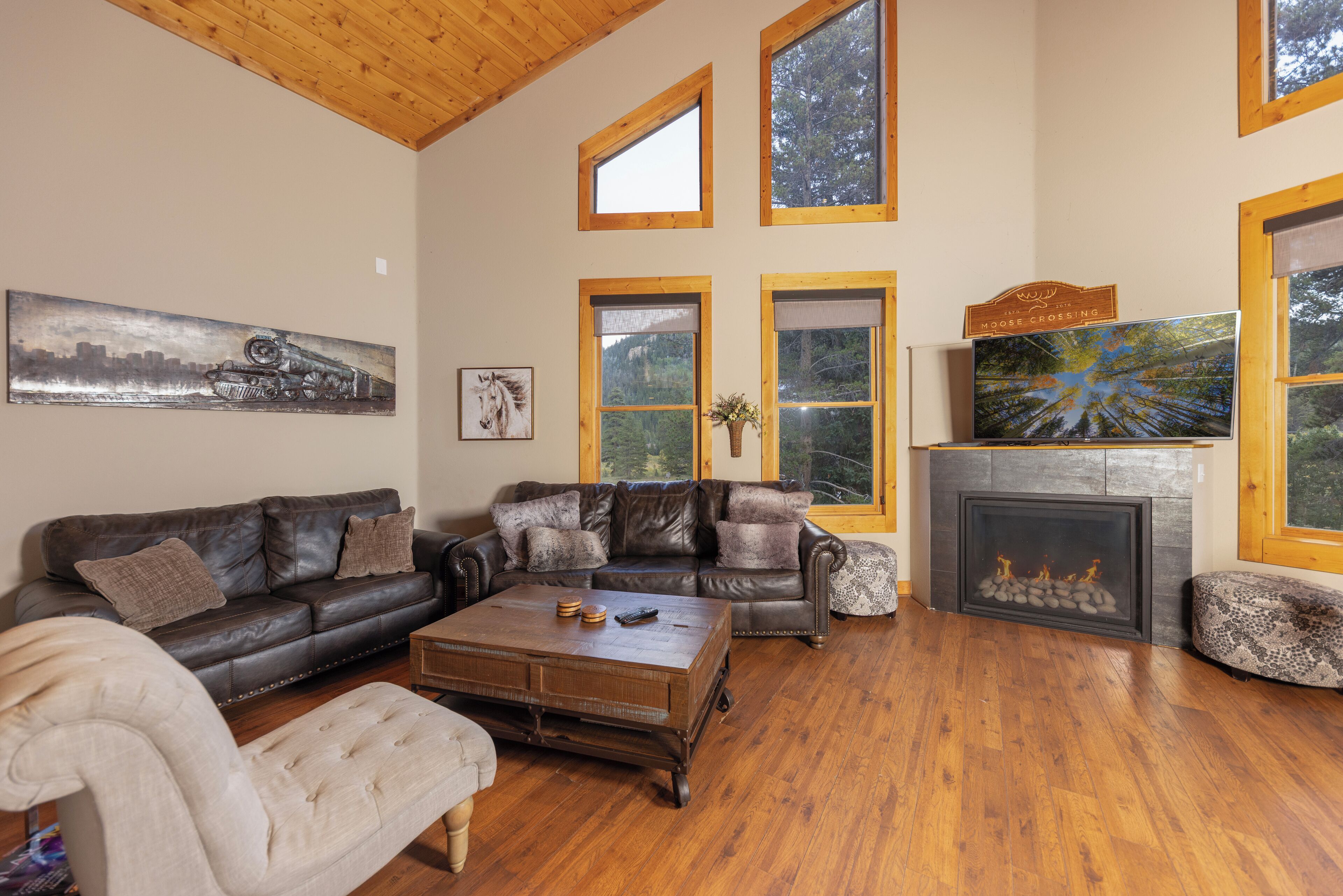 Televisie, een open haard, een dvd-speler en een filmbibliotheek