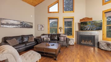 Televisie, een open haard, een dvd-speler en een filmbibliotheek