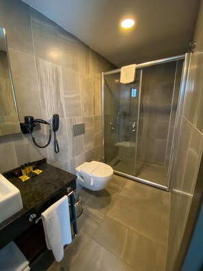 Enjoy a refreshing shower in the sleek bathroom with a large mirror, glass-enclosed shower area, and a white toilet.