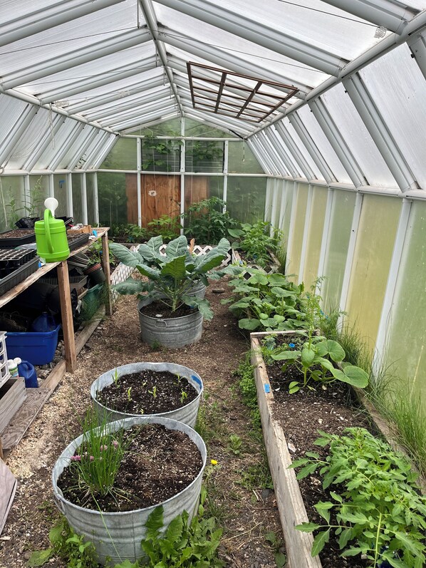 Terrain de lâhĂ©bergement