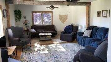 Smart TV, fireplace, DVD player, books