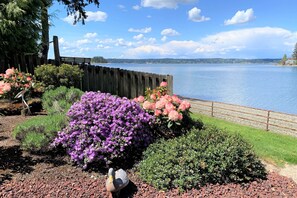 Property grounds - Guesthouse w/ direct beach access & views of Olympic Mountains/Carr Inlet (Gig Harbor)