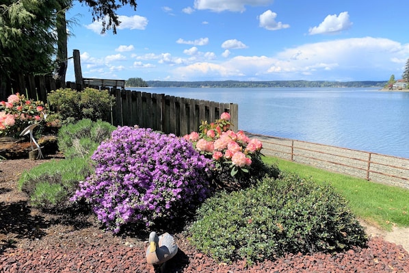 Jardines del alojamiento