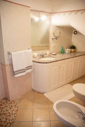Hair dryer, towels, soap, shampoo