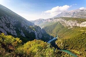Eine gebirgige Landschaft mit einem Fluss, dichten Wäldern und schroffen Klippen.