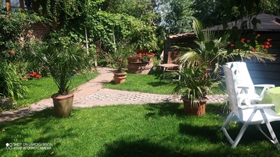 Molino de viento en el Mar del Norte y cerca de Büsum