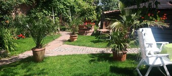 Windmill on the North Sea & near Büsum