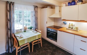 Kühlschrank, Mikrowelle, Herdplatte, Geschirrspüler