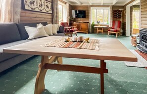 Televisión, chimenea y reproductor de DVD 