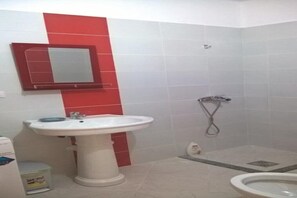 Shower, hair dryer, bidet, towels