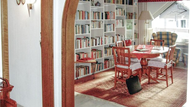 Una habitación con una mesa de comedor, sillas, una estantería y una alfombra estampada.