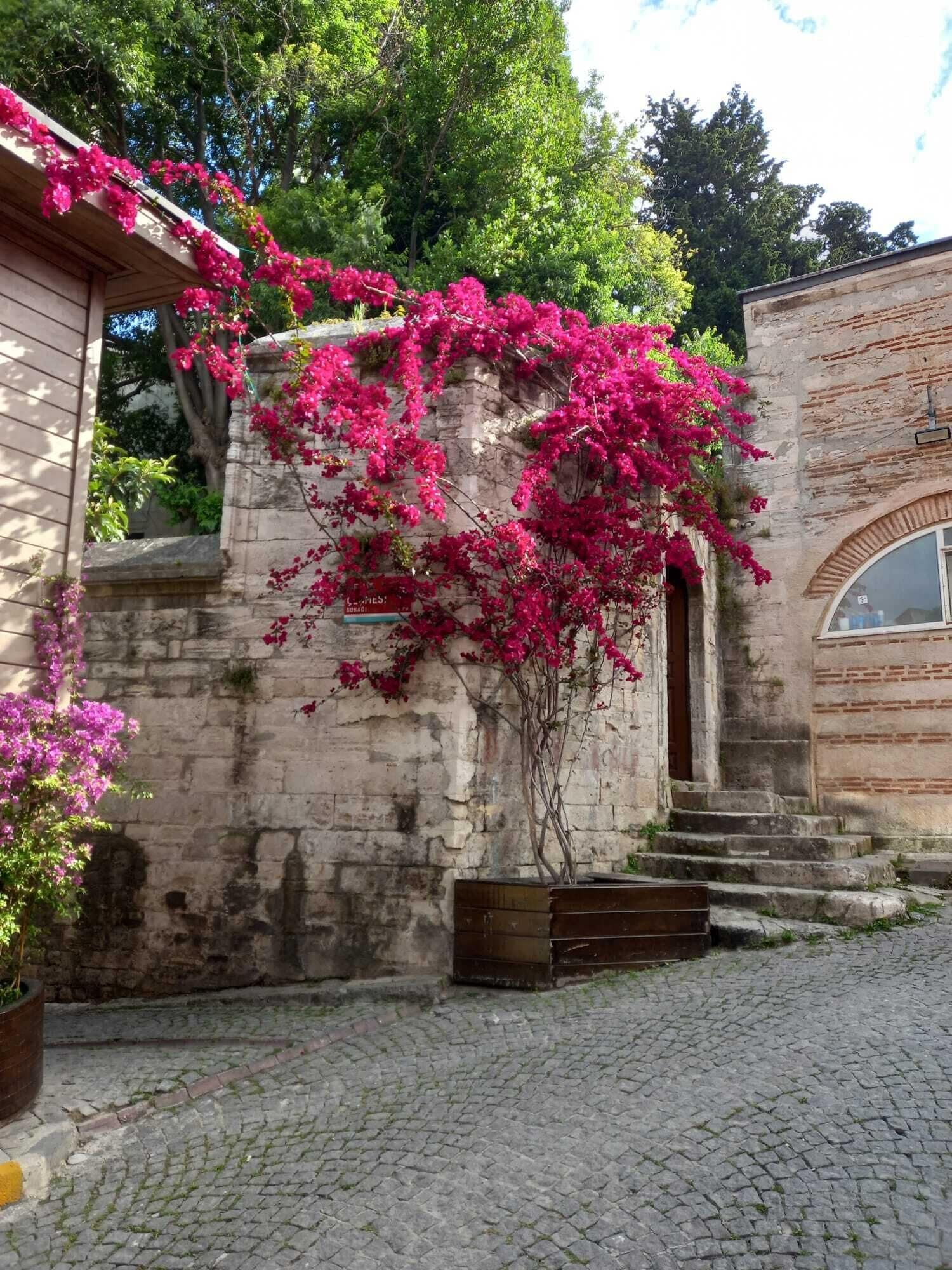 小型套房, 1 间卧室, 冰箱和微波炉, 城市景观 | 街景