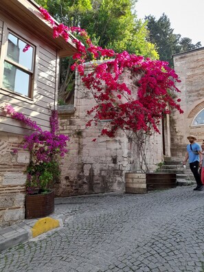 Street view - Emirhan Guest House & Suites (Istanbul)