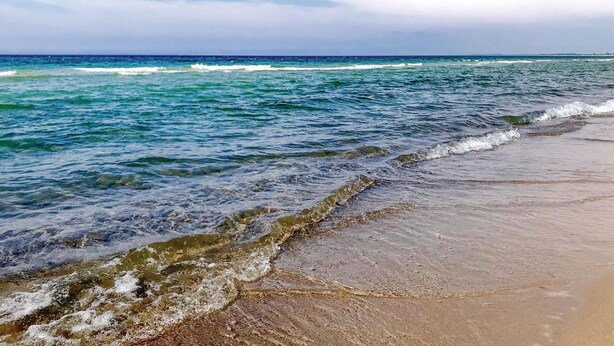Une plage à l’eau claire, avec des vagues.