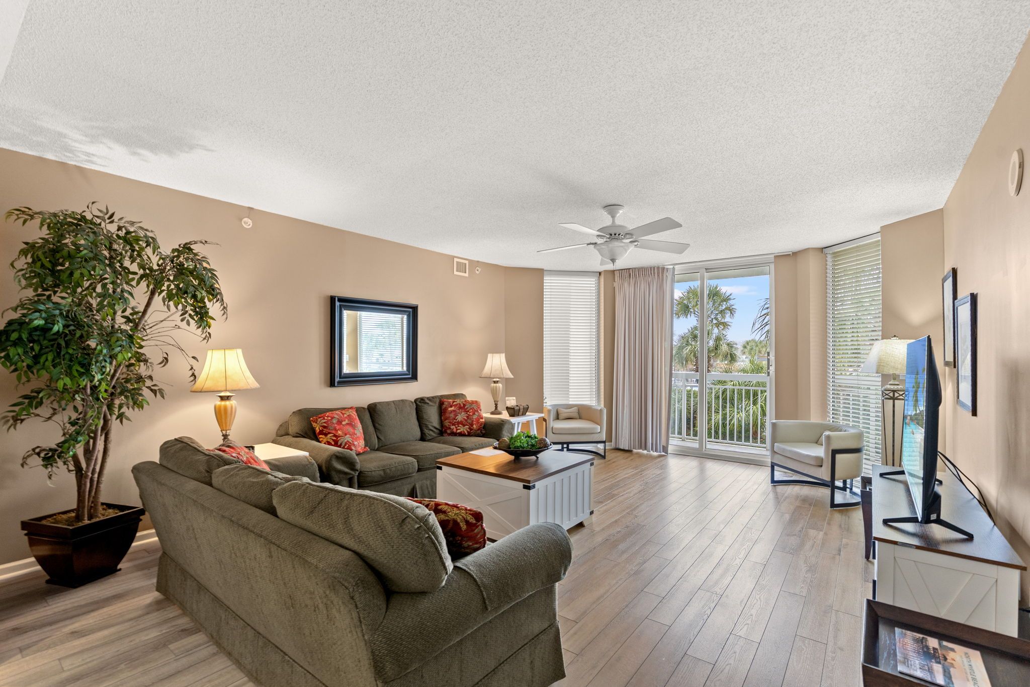 A spacious living room with a ceiling fan, a large potted plant, two sofas, a coffee table, and a TV.