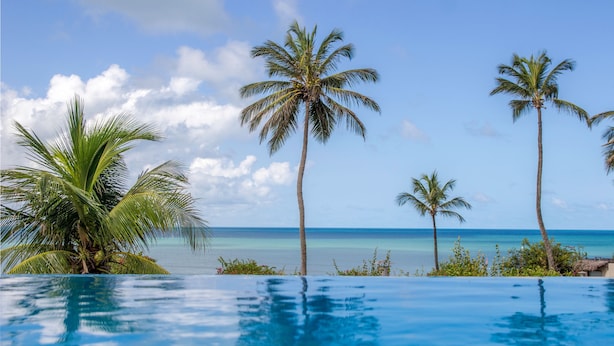 Una piscina con vista al océano y palmeras.