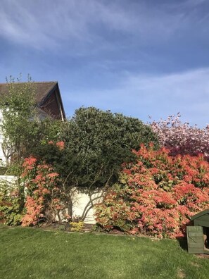Garden - Wimberley House (Inverness)