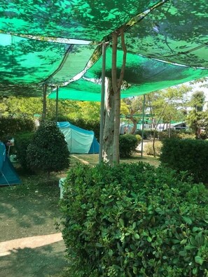 Telt (Plot, 1 tent or caravan required) | Wi-fi (inkludert)