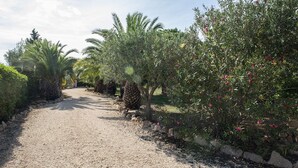 A gravel path flanked by various plants and trees, including palm trees and flowering shrubs. - Romantic finca with pool between Campos and Colonia Sant Jordi in the countryside (Campos)