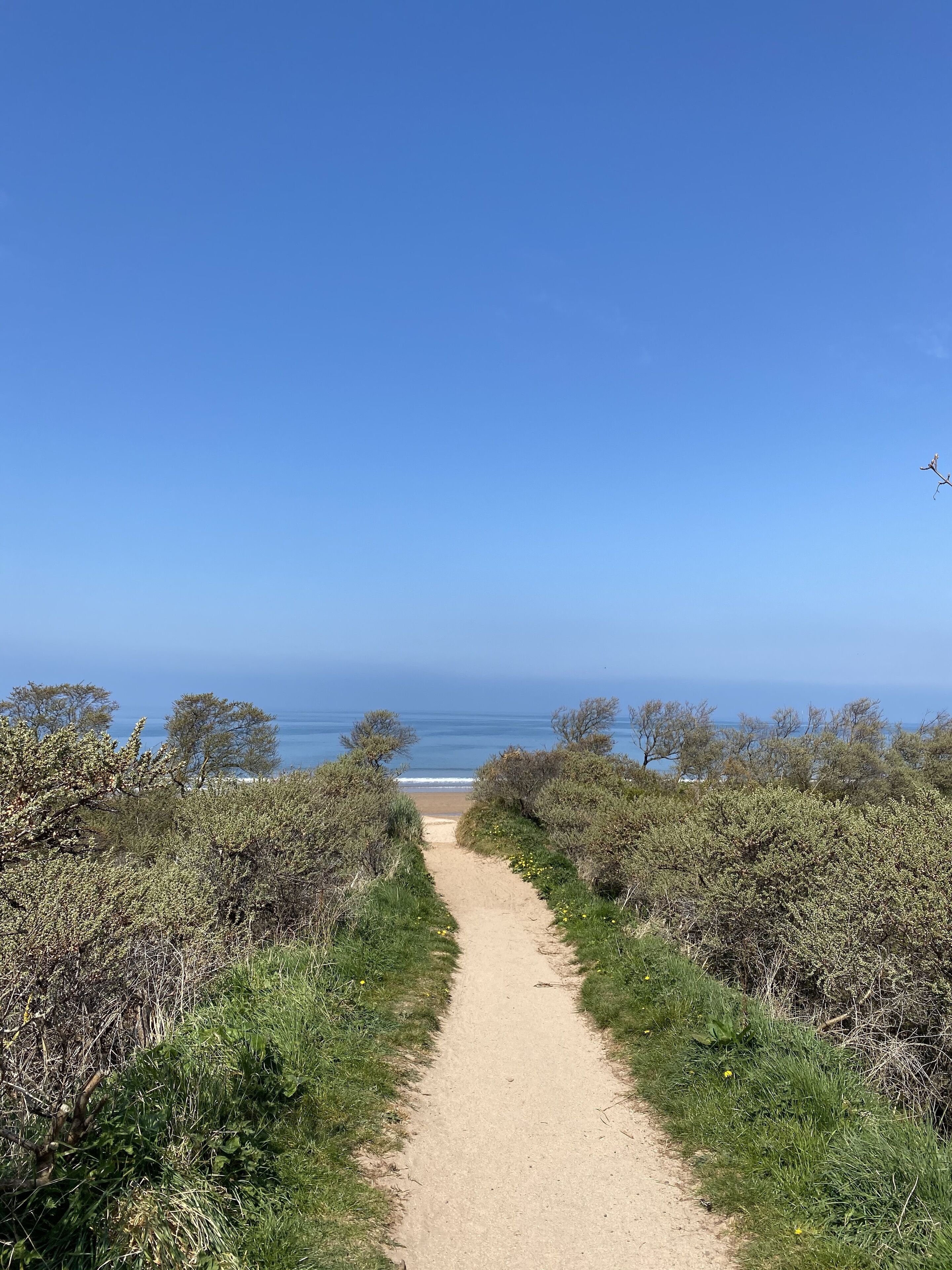 beach nearby, white sand