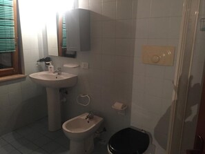 Shower, hair dryer, bidet, towels