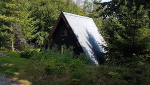 A small, rustic cabin with a slanted roof, surrounded by dense greenery and trees. - Cottage with large terrace in the vacation park at the Twistesee, Bad Arolsen (Bad Arolsen)