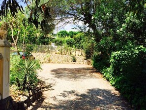 Property grounds - When the cicadas wake up: Eucalyptus (SAINT AYGULS)