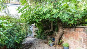 A stone pathway leading to a brick wall with a tree and potted plants. - Birch at Ship St Gardens (Brighton)