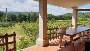 A patio with a table and chairs, overlooking a vineyard and hilly landscape.