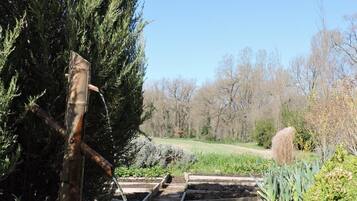 Un jardin agrémenté d’un bassin, de structures en bois et d’une grande variété de plantes.