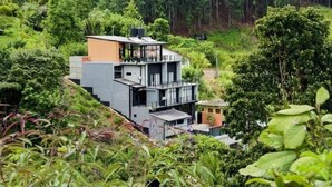Un bâtiment moderne à plusieurs étages, doté d’un toit plat et entouré d’une végétation luxuriante et d’arbres.