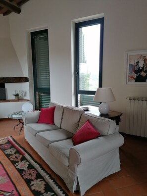 TV, fireplace, books