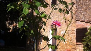 A rose bush with pink flowers in front of a stone building. - Agriturismo Le Casette (Guardistallo)
