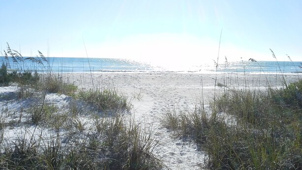 Ein Strand mit Sand und spärlicher Vegetation.