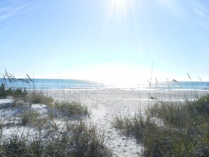 Ein Strand mit Sand und spärlicher Vegetation.