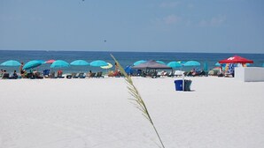 Beach - Ocean Reef 101 (Gulf Shores)