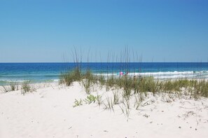 Beach - Toucan Play 2 (Gulf Shores)