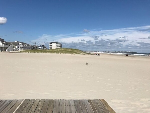 On the beach