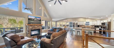 Télévision, cheminée, lecteur de DVD, table de tennis de table